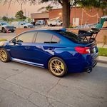 Profile