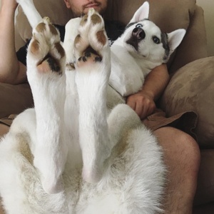 ...