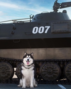 ...