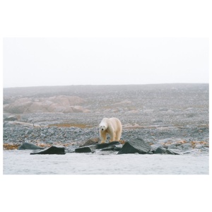 Post cover