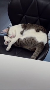 ...