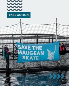 Post cover